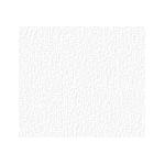 10-08-2011 - sr_starline - bert_silver - faint_grain.jpg